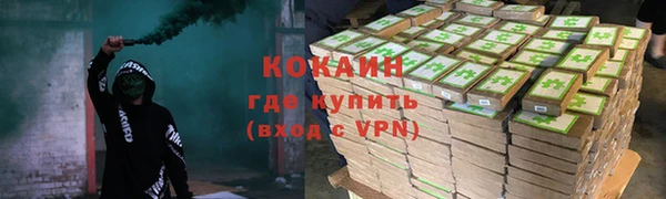 PSILOCYBIN Пересвет