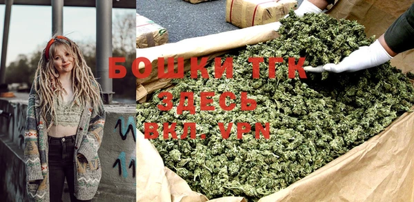 индика Алексеевка
