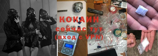 индика Алексеевка